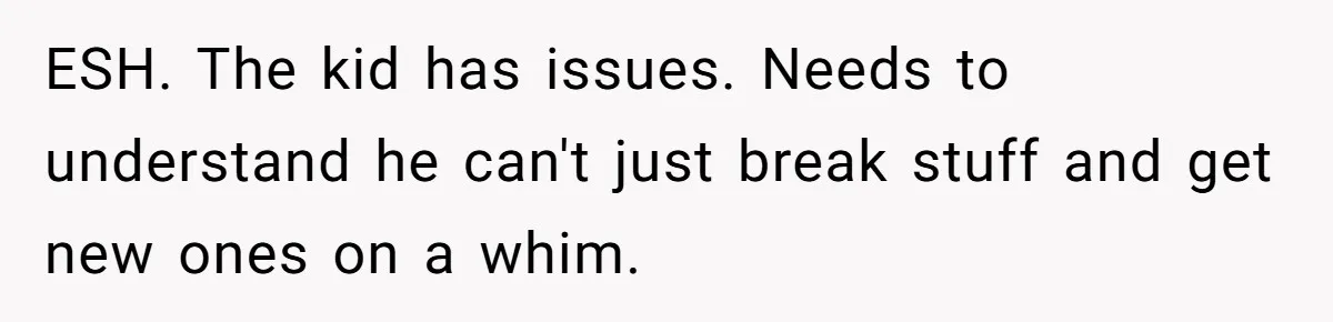 ESH. The kid has issues. Needs to understand he can't just break stuff and get new ones on a whim.