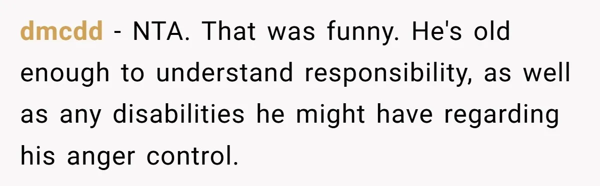 dmcdd − NTA. That was funny. He's old enough to understand responsibility, as well as any disabilities he might have regarding his anger control.