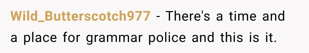Wild_Butterscotch977 − There's a time and a place for grammar police and this is it.