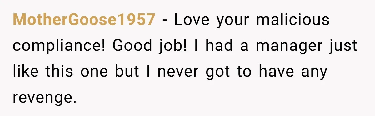 MotherGoose1957 − Love your malicious compliance! Good job! I had a manager just like this one but I never got to have any revenge.