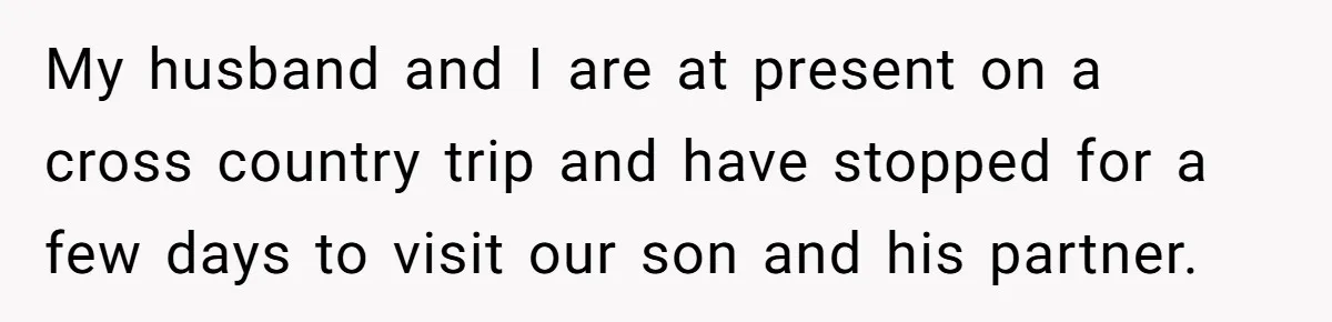 My husband and I are at present on a cross country trip and have stopped for a few days to visit our son and his partner.