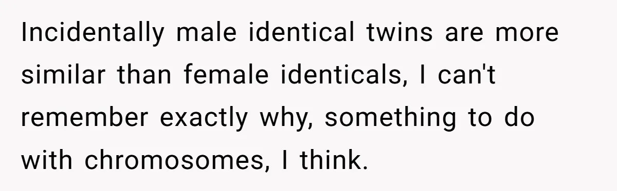Incidentally male identical twins are more similar than female identicals, I can't remember exactly why, something to do with chromosomes, I think.