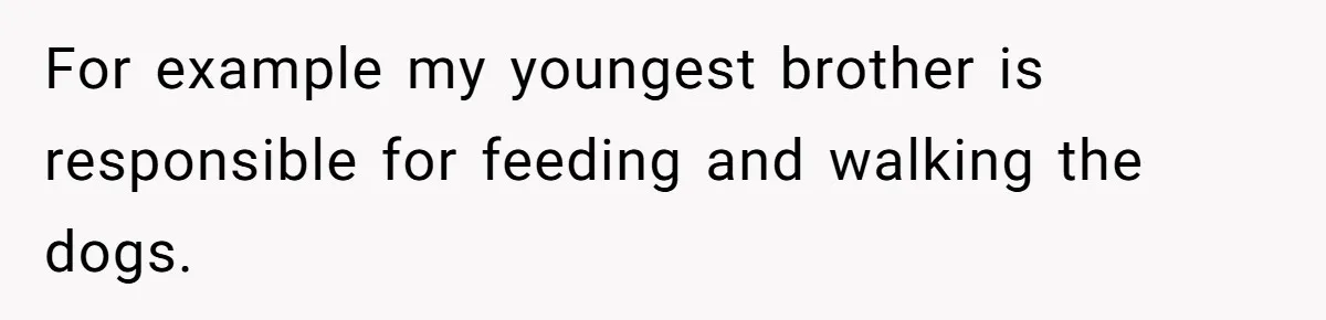 For example my youngest brother is responsible for feeding and walking the dogs.