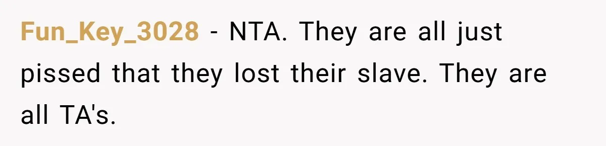 Fun_Key_3028 − NTA. They are all just pissed that they lost their slave. They are all TA's.
