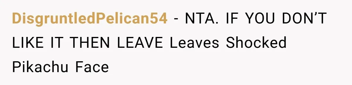 DisgruntledPelican54 − NTA. IF YOU DON’T LIKE IT THEN LEAVE Leaves Shocked Pikachu Face
