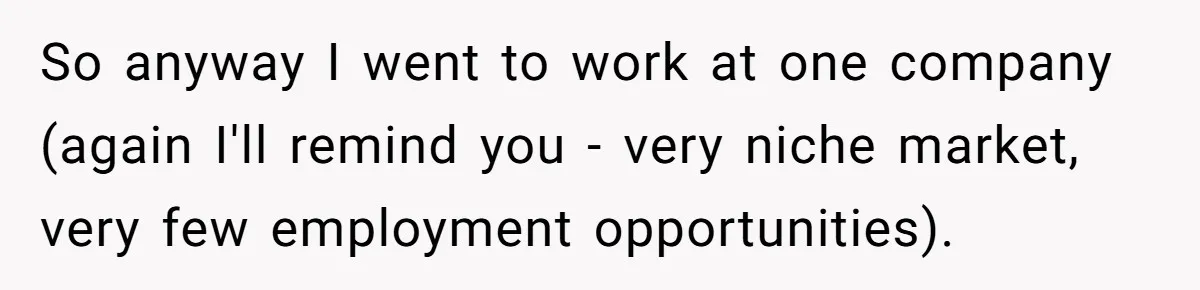 So anyway I went to work at one company (again I'll remind you - very niche market, very few employment opportunities).