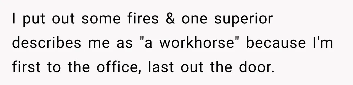 I put out some fires & one superior describes me as "a workhorse" because I'm first to the office, last out the door.