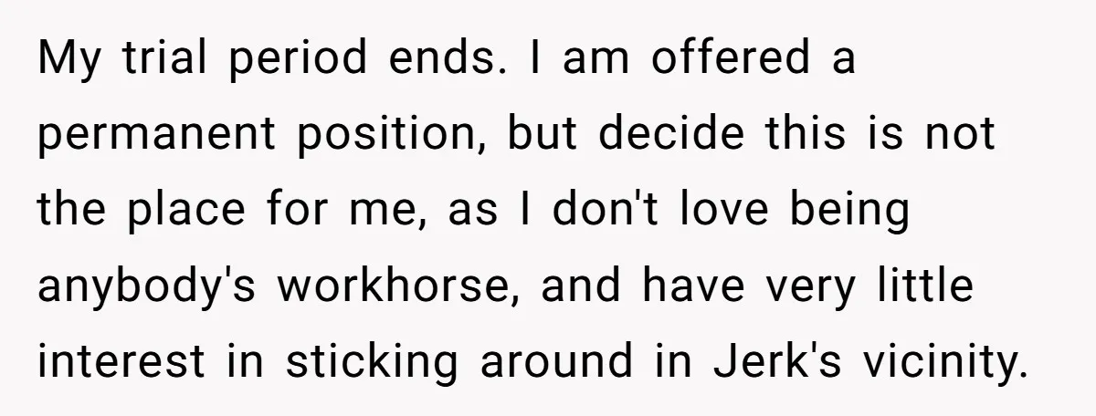 My trial period ends. I am offered a permanent position, but decide this is not the place for me, as I don't love being anybody's workhorse, and have very little...