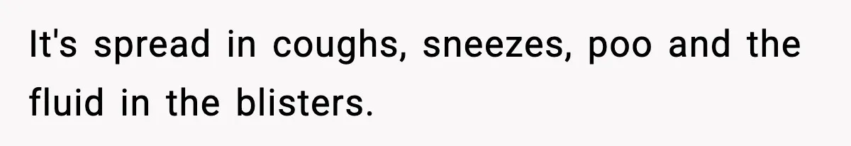 It's spread in coughs, sneezes, poo and the fluid in the blisters.