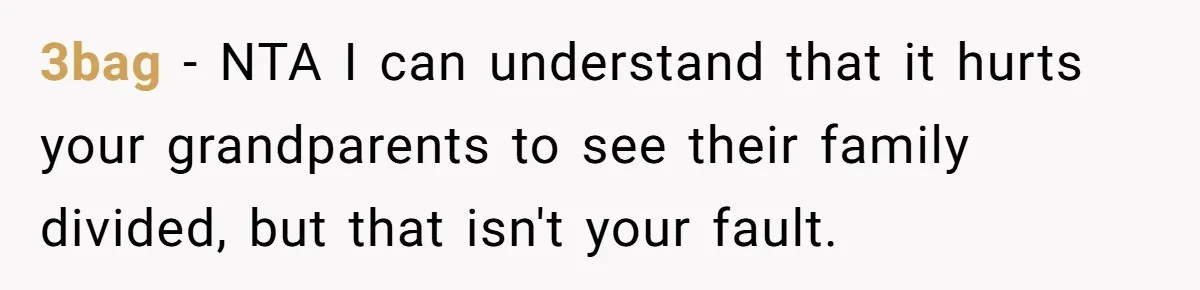3bag − NTA I can understand that it hurts your grandparents to see their family divided, but that isn't your fault.