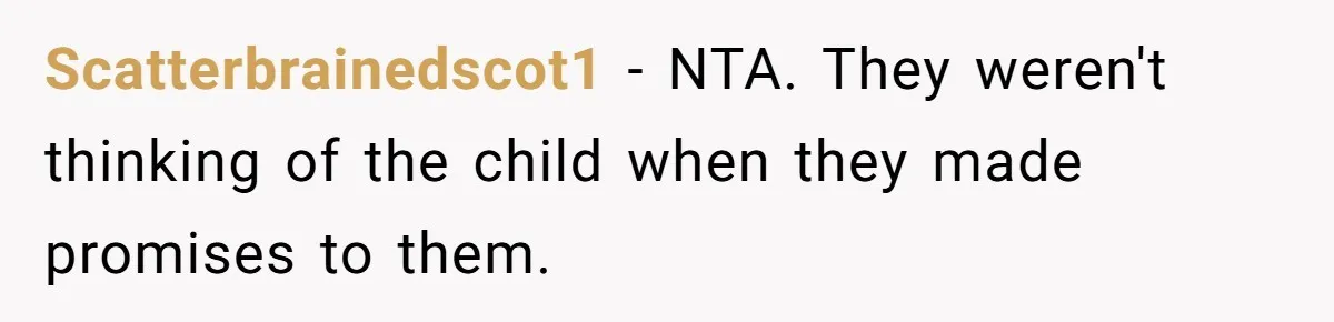 Scatterbrainedscot1 − NTA. They weren't thinking of the child when they made promises to them.