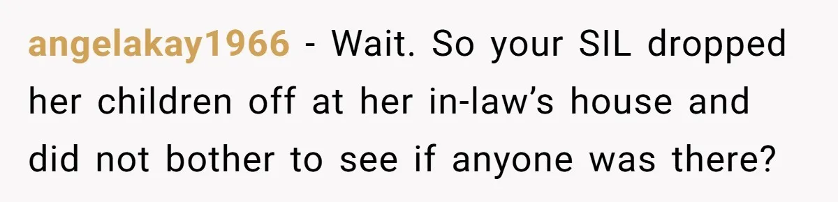 angelakay1966 − Wait. So your SIL dropped her children off at her in-law’s house and did not bother to see if anyone was there?