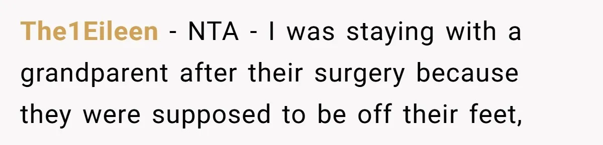 The1Eileen − NTA - I was staying with a grandparent after their surgery because they were supposed to be off their feet,