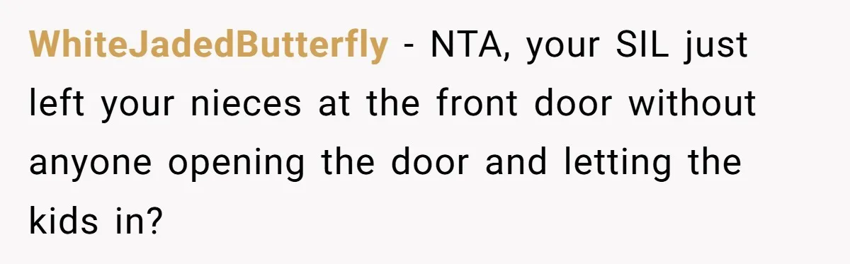 WhiteJadedButterfly − NTA, your SIL just left your nieces at the front door without anyone opening the door and letting the kids in?