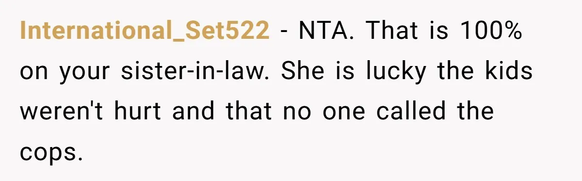 International_Set522 − NTA. That is 100% on your sister-in-law. She is lucky the kids weren't hurt and that no one called the cops.