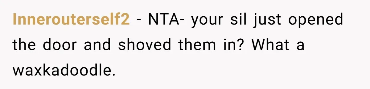 Innerouterself2 − NTA- your sil just opened the door and shoved them in? What a waxkadoodle.