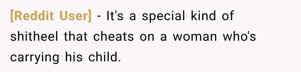 [Reddit User] − It's a special kind of shitheel that cheats on a woman who's carrying his child.