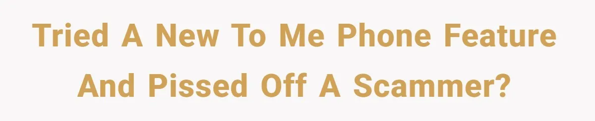 Tried a new to me phone feature and pissed off a scammer?