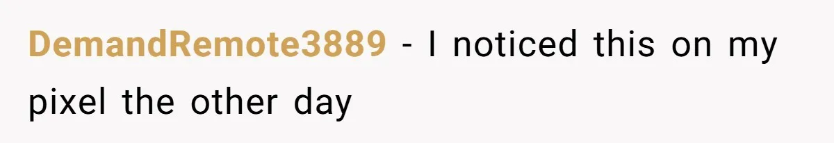 DemandRemote3889 − I noticed this on my pixel the other day