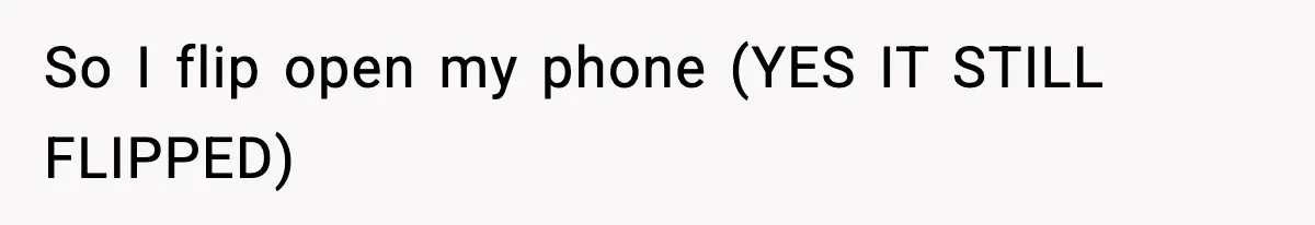 So I flip open my phone (YES IT STILL FLIPPED)