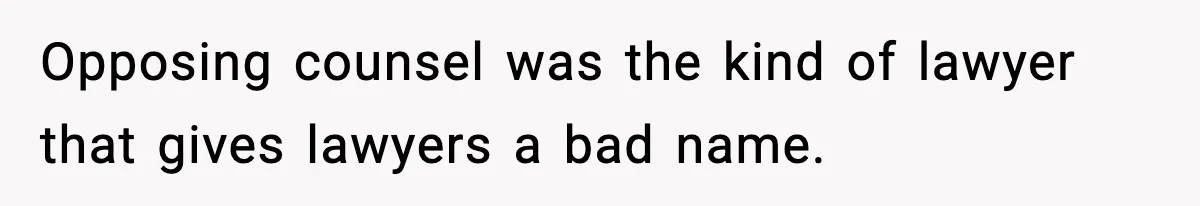 Opposing counsel was the kind of lawyer that gives lawyers a bad name.
