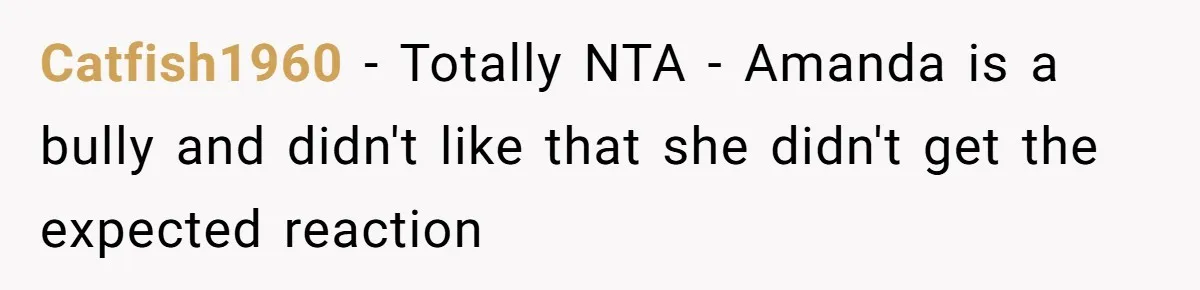 Catfish1960 − Totally NTA - Amanda is a bully and didn't like that she didn't get the expected reaction