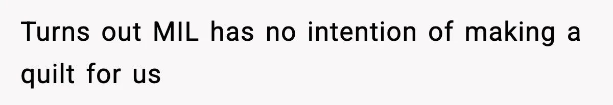 Turns out MIL has no intention of making a quilt for us