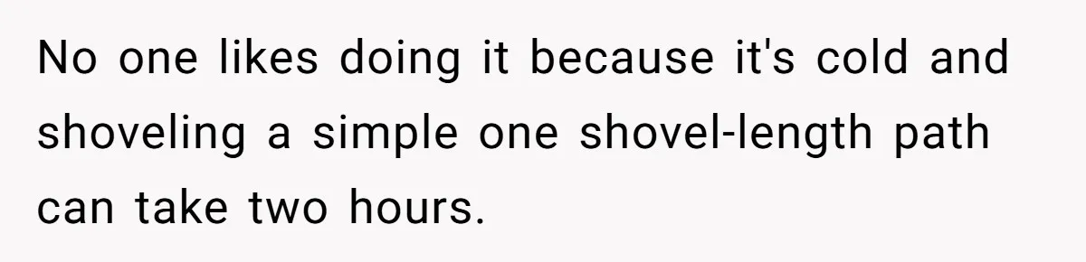 No one likes doing it because it's cold and shoveling a simple one shovel-length path can take two hours.