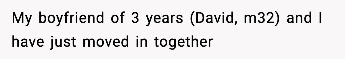 My boyfriend of 3 years (David, m32) and I have just moved in together