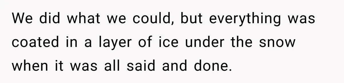 We did what we could, but everything was coated in a layer of ice under the snow when it was all said and done.