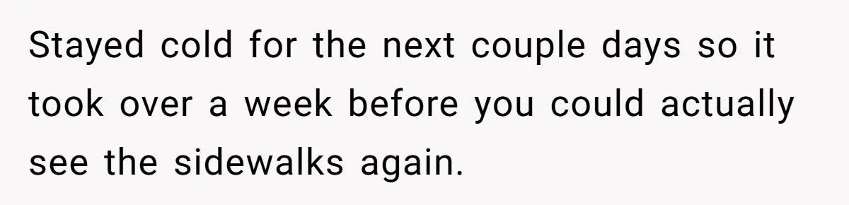 Stayed cold for the next couple days so it took over a week before you could actually see the sidewalks again.