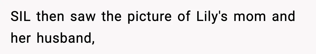 Woman Secretly DNA Tests Her Fiancé’s Niece, Then Accuses Dad Of Raising An “Affair Baby” In Front Of Tahe Child SIL then saw the picture of Lily's mom and her husband,