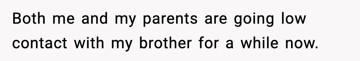 Woman Secretly DNA Tests Her Fiancé’s Niece, Then Accuses Dad Of Raising An “Affair Baby” In Front Of Tahe Child Both me and my parents are going low contact with my brother for a while now.