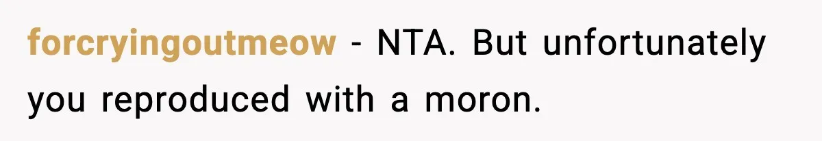 forcryingoutmeow − NTA. But unfortunately you reproduced with a moron.