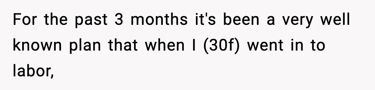 For the past 3 months it's been a very well known plan that when I (30f) went in to labor,