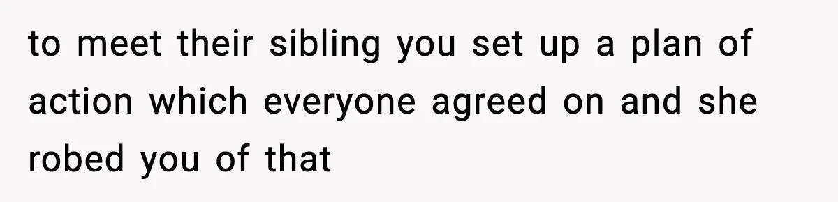 to meet their sibling you set up a plan of action which everyone agreed on and she robed you of that
