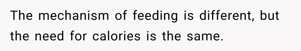 The mechanism of feeding is different, but the need for calories is the same.