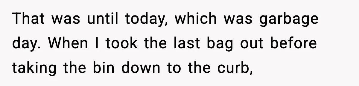 That was until today, which was garbage day. When I took the last bag out before taking the bin down to the curb,