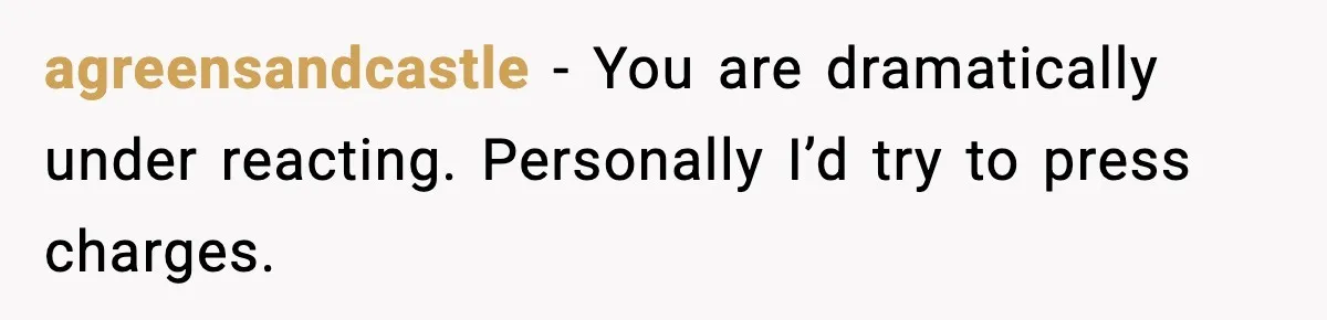 agreensandcastle − You are dramatically under reacting. Personally I’d try to press charges.