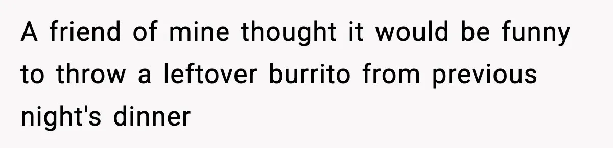 A friend of mine thought it would be funny to throw a leftover burrito from previous night's dinner