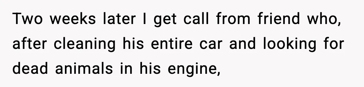 Two weeks later I get call from friend who, after cleaning his entire car and looking for dead animals in his engine,