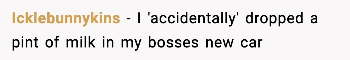 Icklebunnykins − I 'accidentally' dropped a pint of milk in my bosses new car