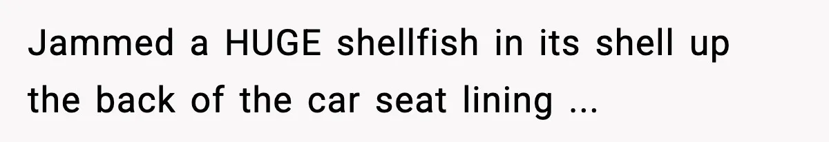 Jammed a HUGE shellfish in its shell up the back of the car seat lining ...