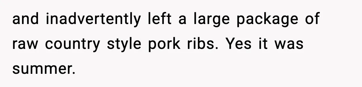 and inadvertently left a large package of raw country style pork ribs. Yes it was summer.