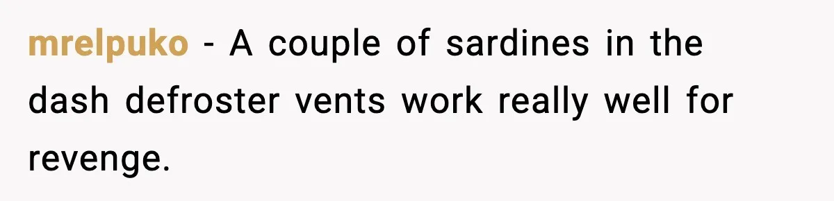 mrelpuko − A couple of sardines in the dash defroster vents work really well for revenge.