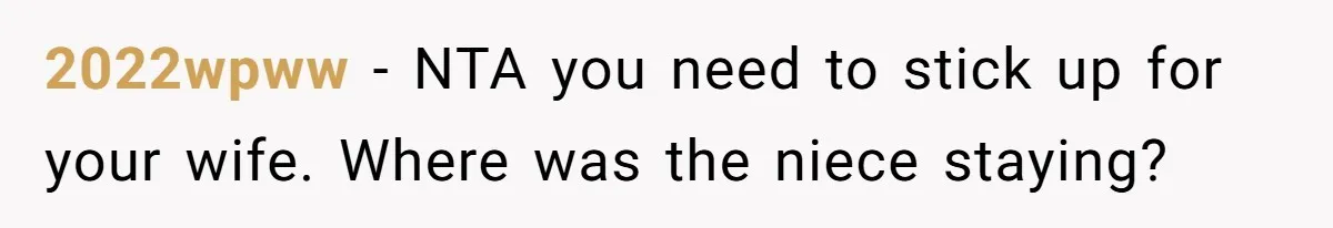 2022wpww − NTA you need to stick up for your wife. Where was the niece staying?