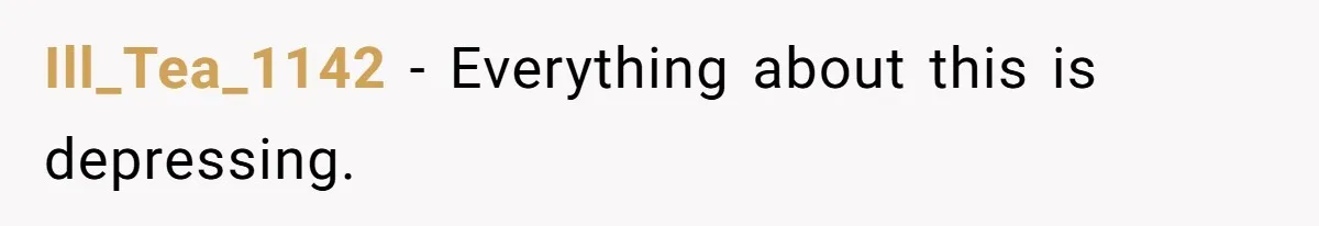 Ill_Tea_1142 − Everything about this is depressing.