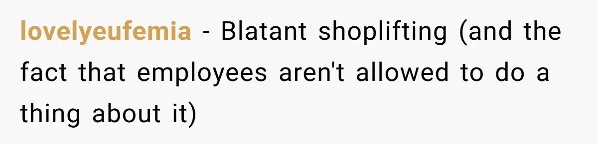 lovelyeufemia − Blatant shoplifting (and the fact that employees aren't allowed to do a thing about it)