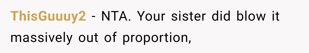ThisGuuuy2 − NTA. Your sister did blow it massively out of proportion,