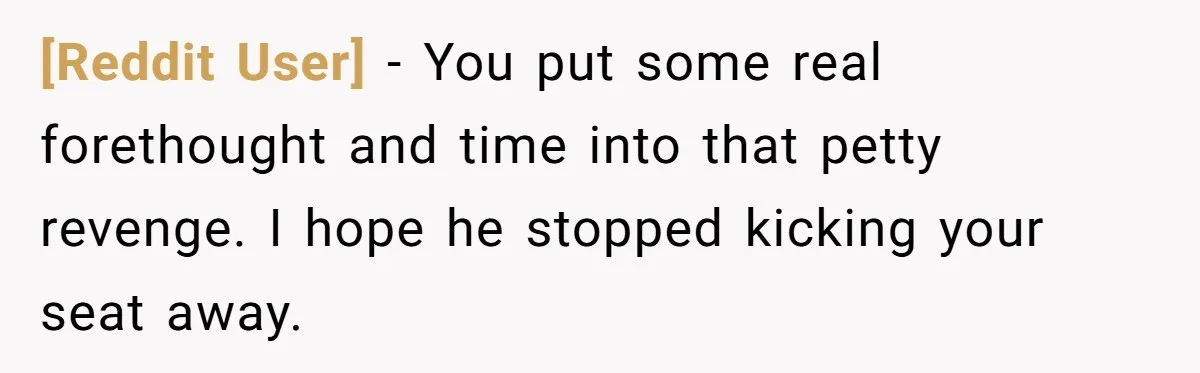 [Reddit User] − You put some real forethought and time into that petty revenge. I hope he stopped kicking your seat away.